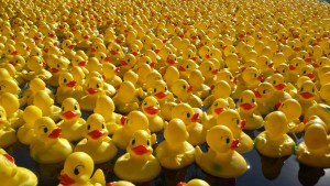 Duck Race Luxembourg Petrusse 3